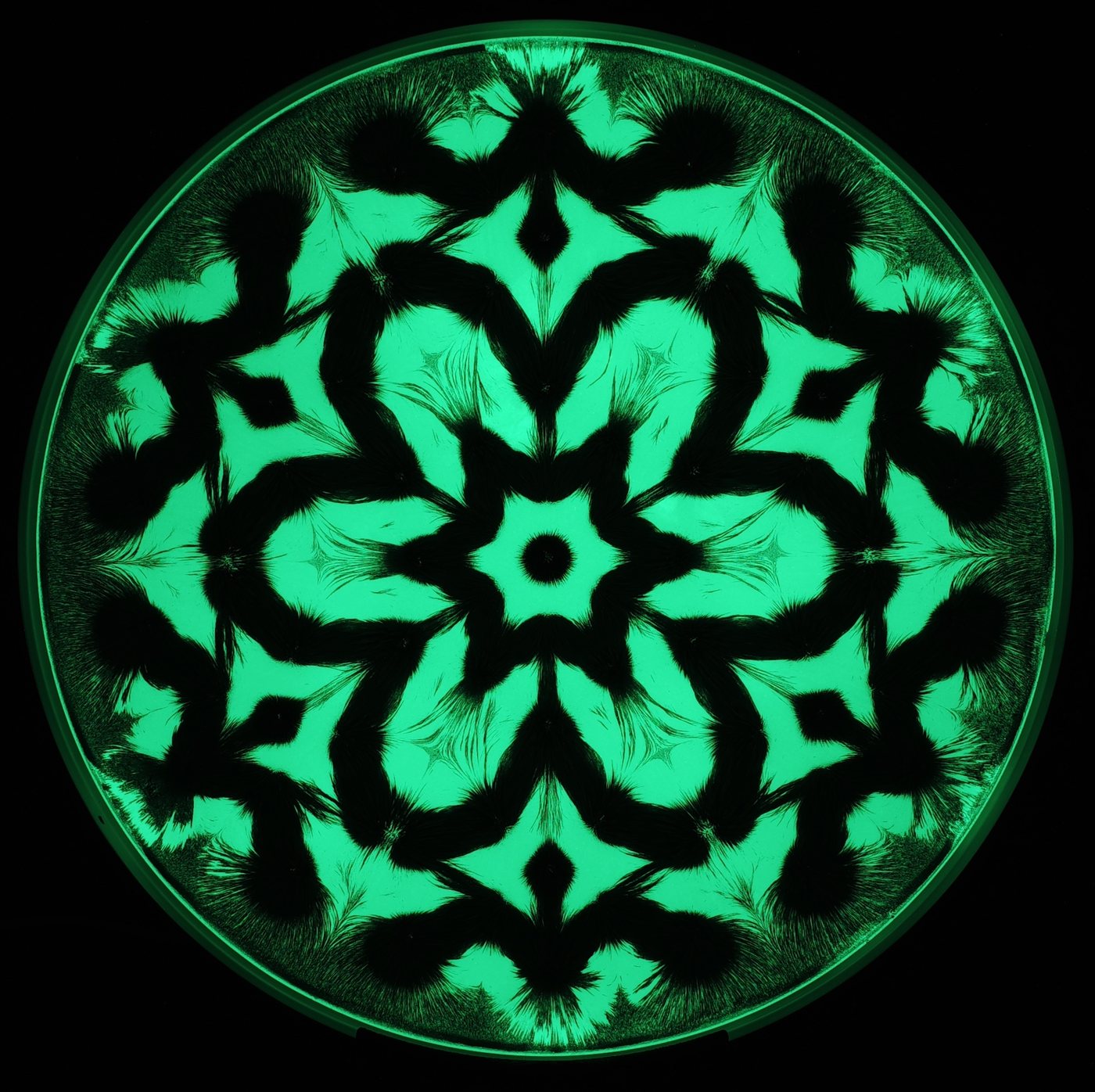 Glow in the dark magnetic field mandala glowing green